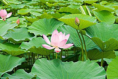 爆料称《星空》发售之后轮到《地狱之刃2》和《宣誓》